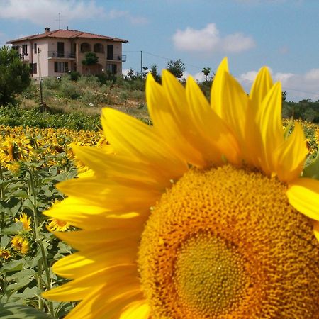 B&B Il Girasole - Rooms & House In Country - 1500 Meters From Historic Center Montepulciano Stazione エクステリア 写真