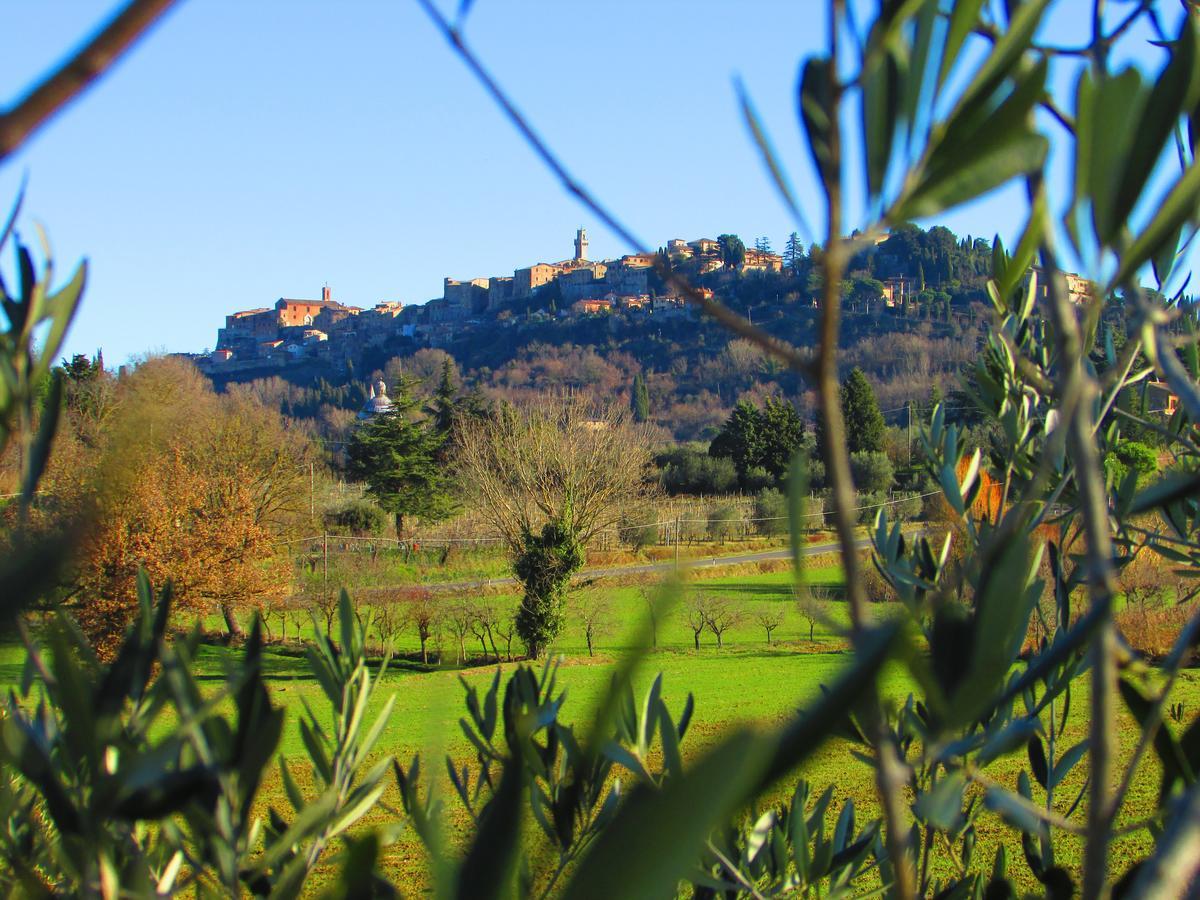 B&B Il Girasole - Rooms & House In Country - 1500 Meters From Historic Center Montepulciano Stazione エクステリア 写真